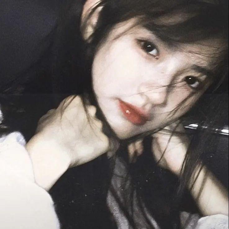 崔弟的高飞冒险
