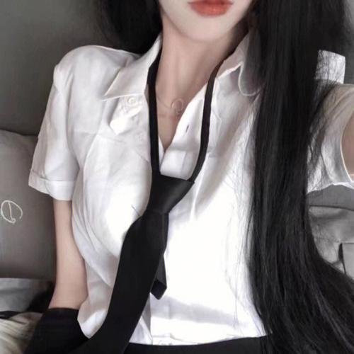 没人瞭波斯猫